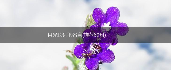 目光长远的名言(推荐60句),第1张