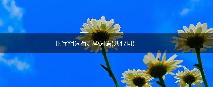 时字组词有哪些词语(共47句),第1张