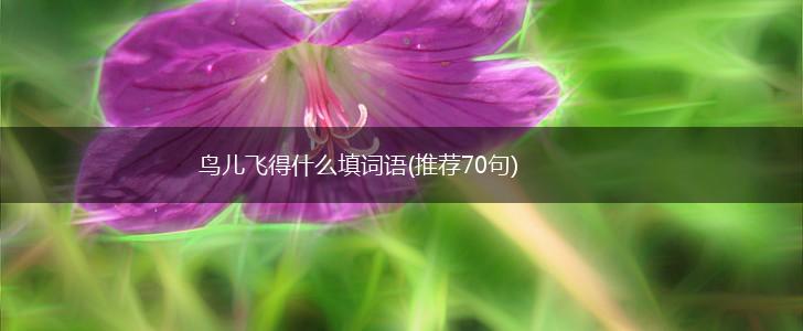 鸟儿飞得什么填词语(推荐70句),第1张
