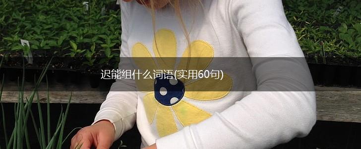 迟能组什么词语(实用60句),第1张