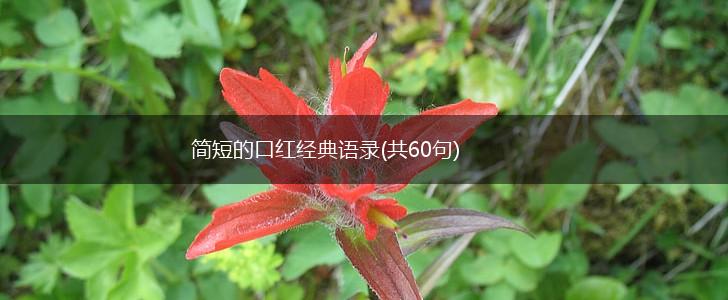 简短的口红经典语录(共60句),第1张