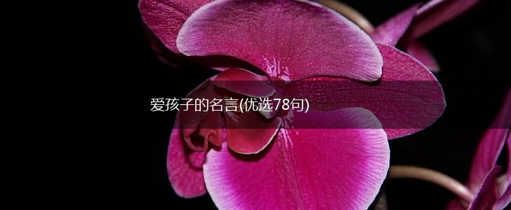 爱孩子的名言(优选78句),第1张