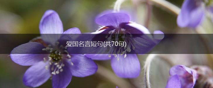 爱国名言短句(共70句),第1张