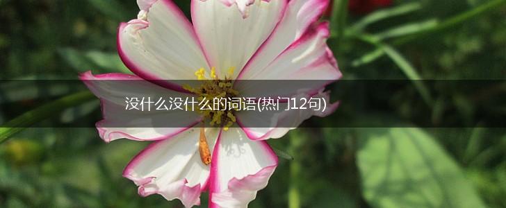 没什么没什么的词语(热门12句),第1张