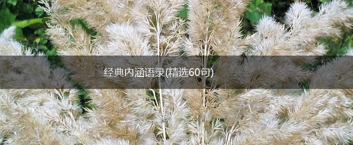 经典内涵语录(精选60句),第1张
