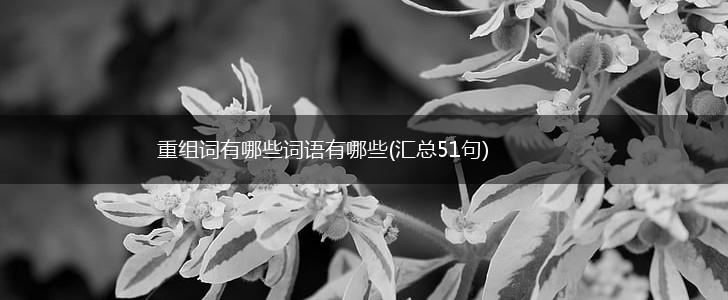 重组词有哪些词语有哪些(汇总51句),第1张