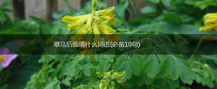 翠鸟后面填什么词语(必备10句),第1张