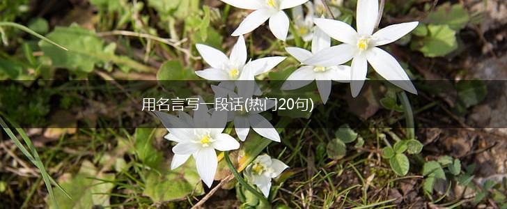 用名言写一段话(热门20句),第1张