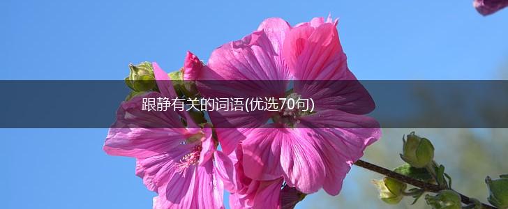 跟静有关的词语(优选70句),第1张