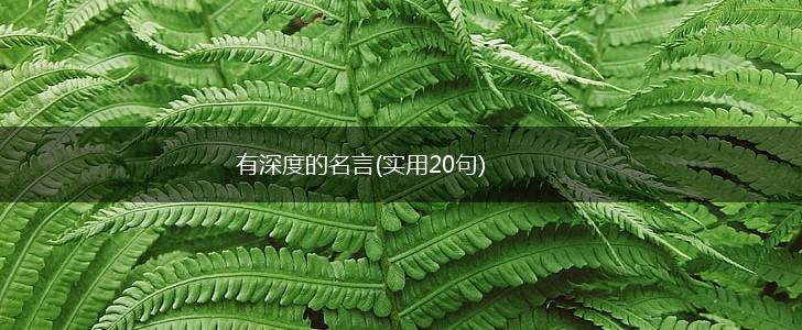 有深度的名言(实用20句),第1张 有深度的名言(实用20句),第1张