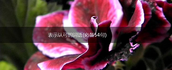表示认可的词语(必备54句),第1张
