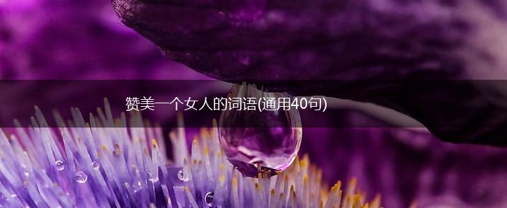 赞美一个女人的词语(通用40句),第1张