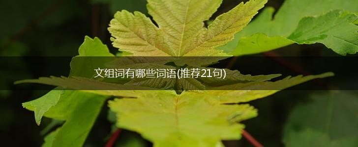 文组词有哪些词语(推荐21句),第1张