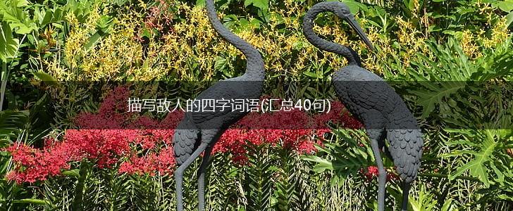 描写敌人的四字词语(汇总40句),第1张