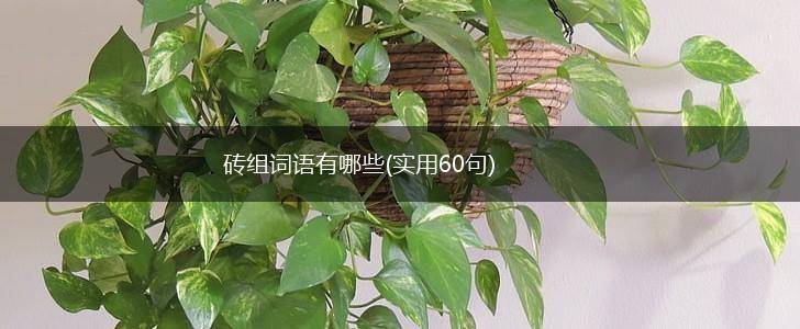 砖组词语有哪些(实用60句),第1张