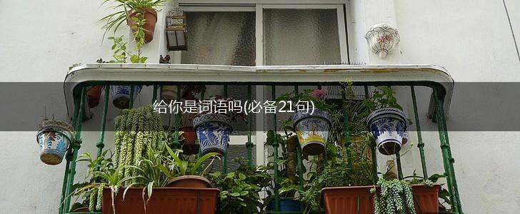 给你是词语吗(必备21句),第1张 给你是词语吗(必备21句),第1张