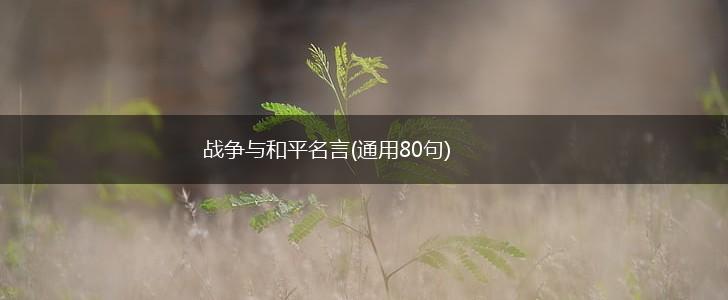 战争与和平名言(通用80句),第1张