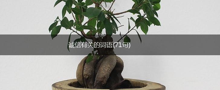 诚信有关的词语(71句),第1张