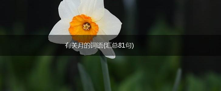 有关月的词语(汇总81句),第1张