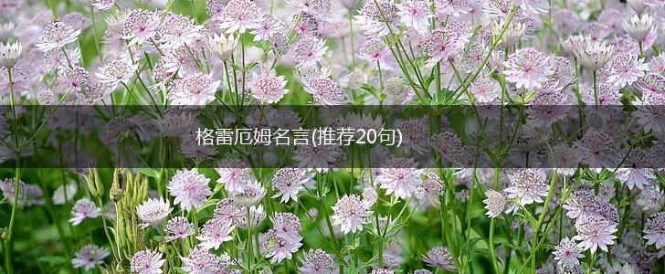 格雷厄姆名言(推荐20句),第1张 格雷厄姆名言(推荐20句),第1张