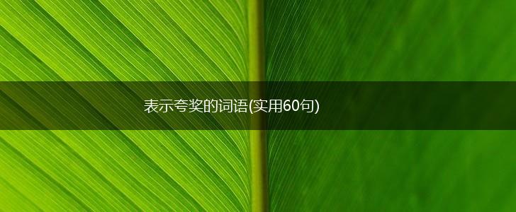 表示夸奖的词语(实用60句),第1张