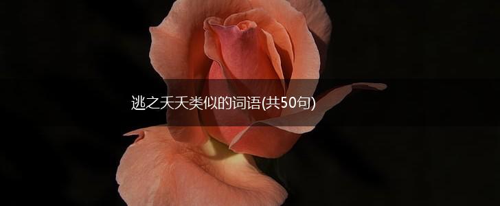 逃之夭夭类似的词语(共50句),第1张