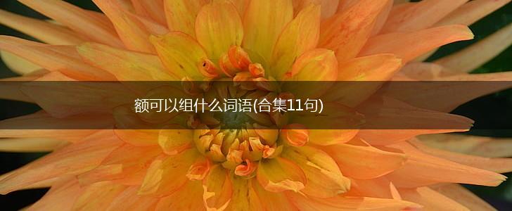 额可以组什么词语(合集11句),第1张