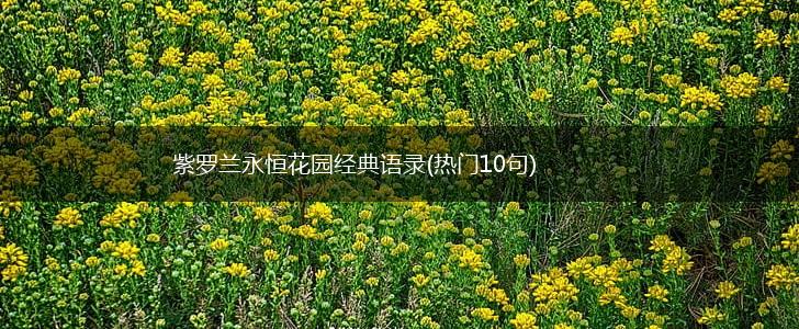 紫罗兰永恒花园经典语录(热门10句),第1张