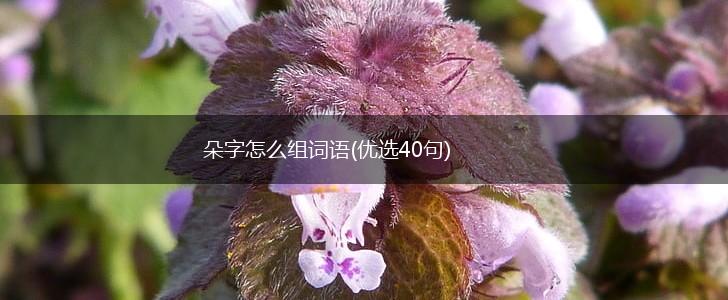 朵字怎么组词语(优选40句),第1张