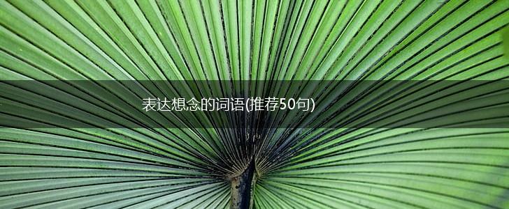 表达想念的词语(推荐50句),第1张