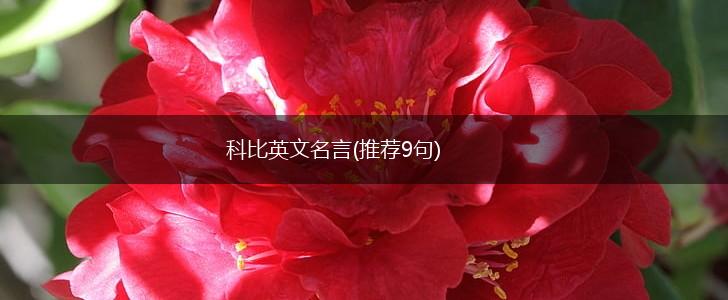 科比英文名言(推荐9句),第1张