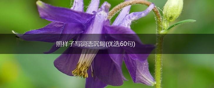 照样子写词语沉甸(优选60句),第1张