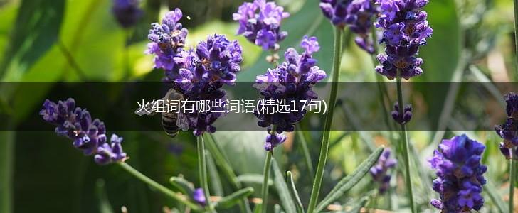 火组词有哪些词语(精选17句),第1张