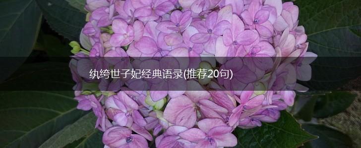 纨绔世子妃经典语录(推荐20句),第1张