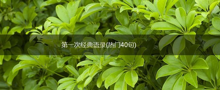 第一次经典语录(热门40句),第1张