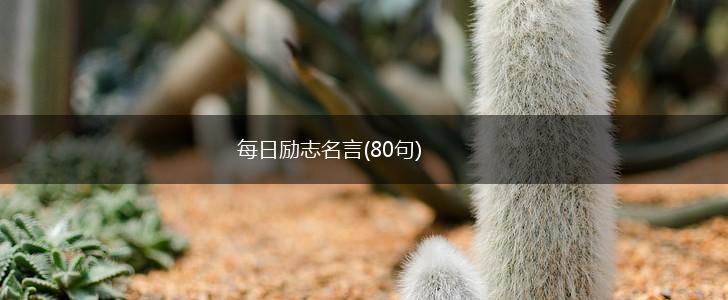 每日励志名言(80句),第1张