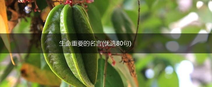 生命重要的名言(优选80句),第1张