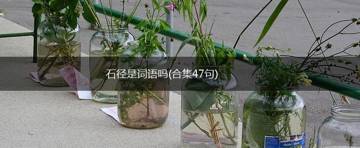 石径是词语吗(合集47句),第1张 石径是词语吗(合集47句),第1张