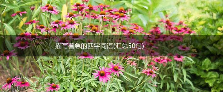 描写着急的四字词语(汇总50句),第1张