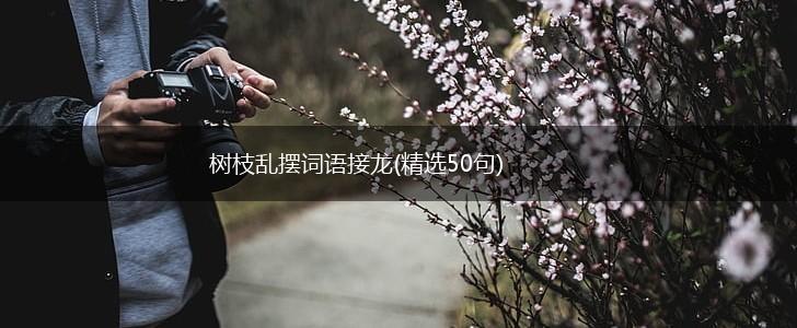 树枝乱摆词语接龙(精选50句),第1张