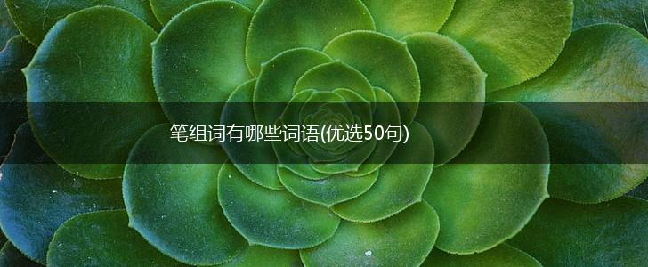 笔组词有哪些词语(优选50句),第1张
