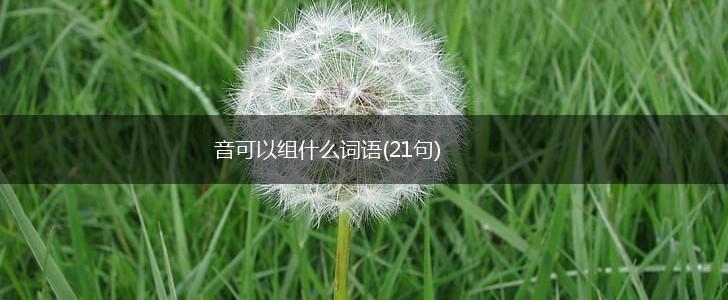 音可以组什么词语(21句),第1张