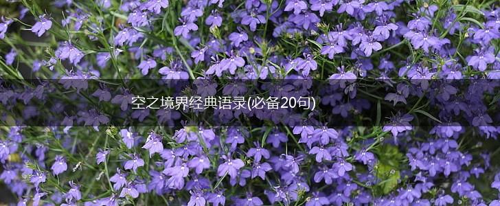 空之境界经典语录(必备20句),第1张