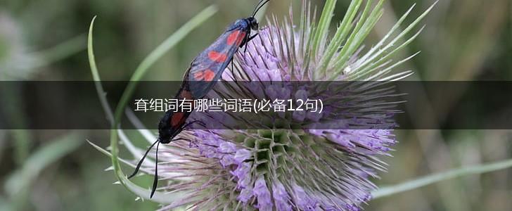 耷组词有哪些词语(必备12句),第1张