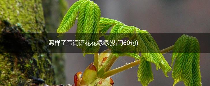 照样子写词语花花绿绿(热门60句),第1张