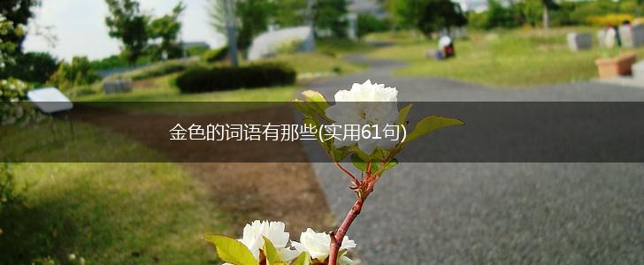 金色的词语有那些(实用61句),第1张