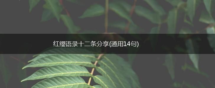 红缨语录十二条分享(通用14句),第1张