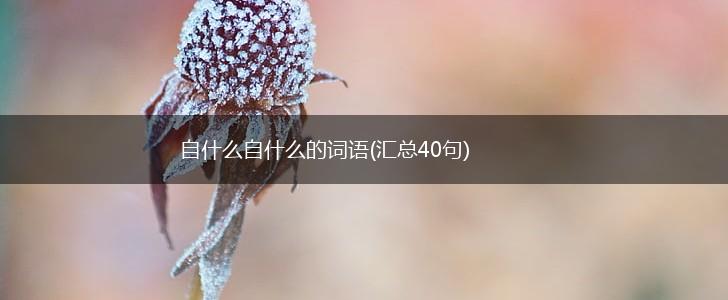 自什么自什么的词语(汇总40句),第1张