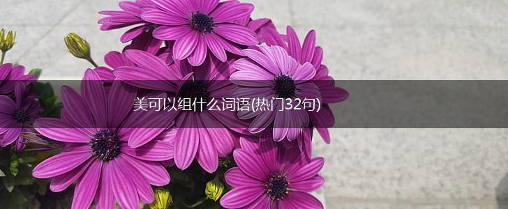 美可以组什么词语(热门32句),第1张