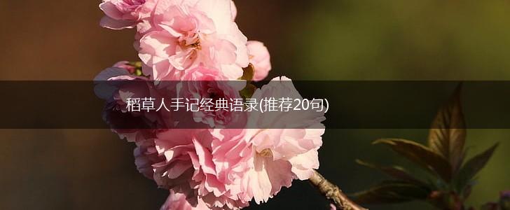 稻草人手记经典语录(推荐20句),第1张
